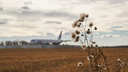 Стала известна судьба севшего в пшеничное поле самолёта «Уральских авиалиний»