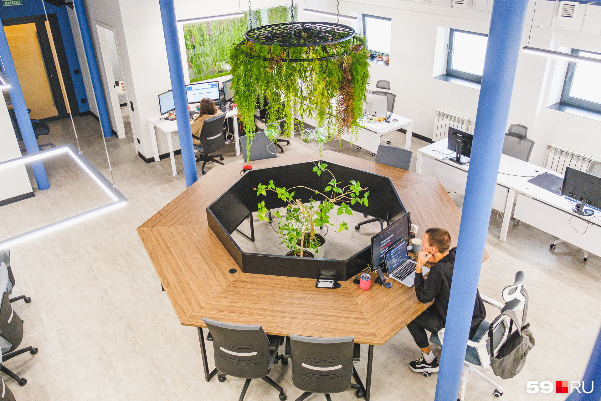Офис украшен искусственными растениями, но есть и живые цветы. Например, в центре стола стоит живой цветок, который переехал еще из прошлого офиса