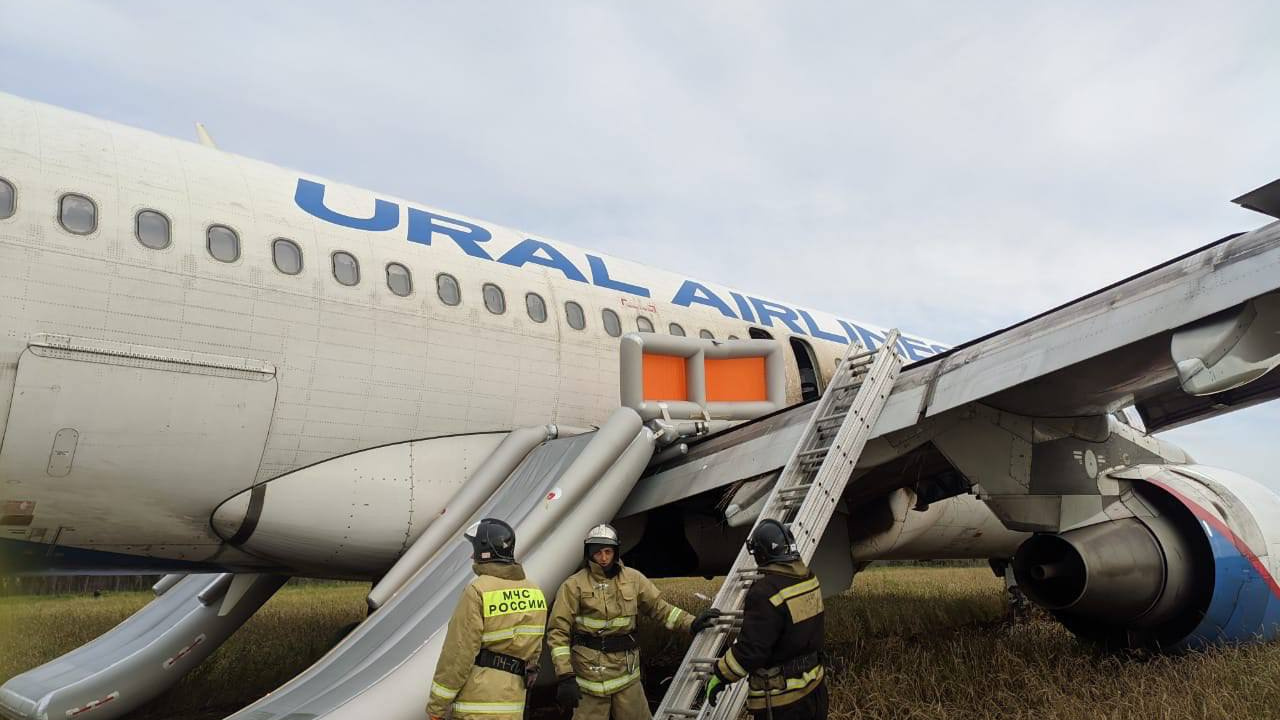 «Возникли опасения, что откажут тормоза»: почему летевший в Омск самолет не сел в Тюменской области
