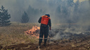 Под Челябинском мужчина спалил лес на 770 тысяч и не смог объяснить зачем