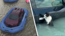 По улицам плывут «гелики» и коты, туристы голодают в аэропорту: что происходит в затопленном Дубае