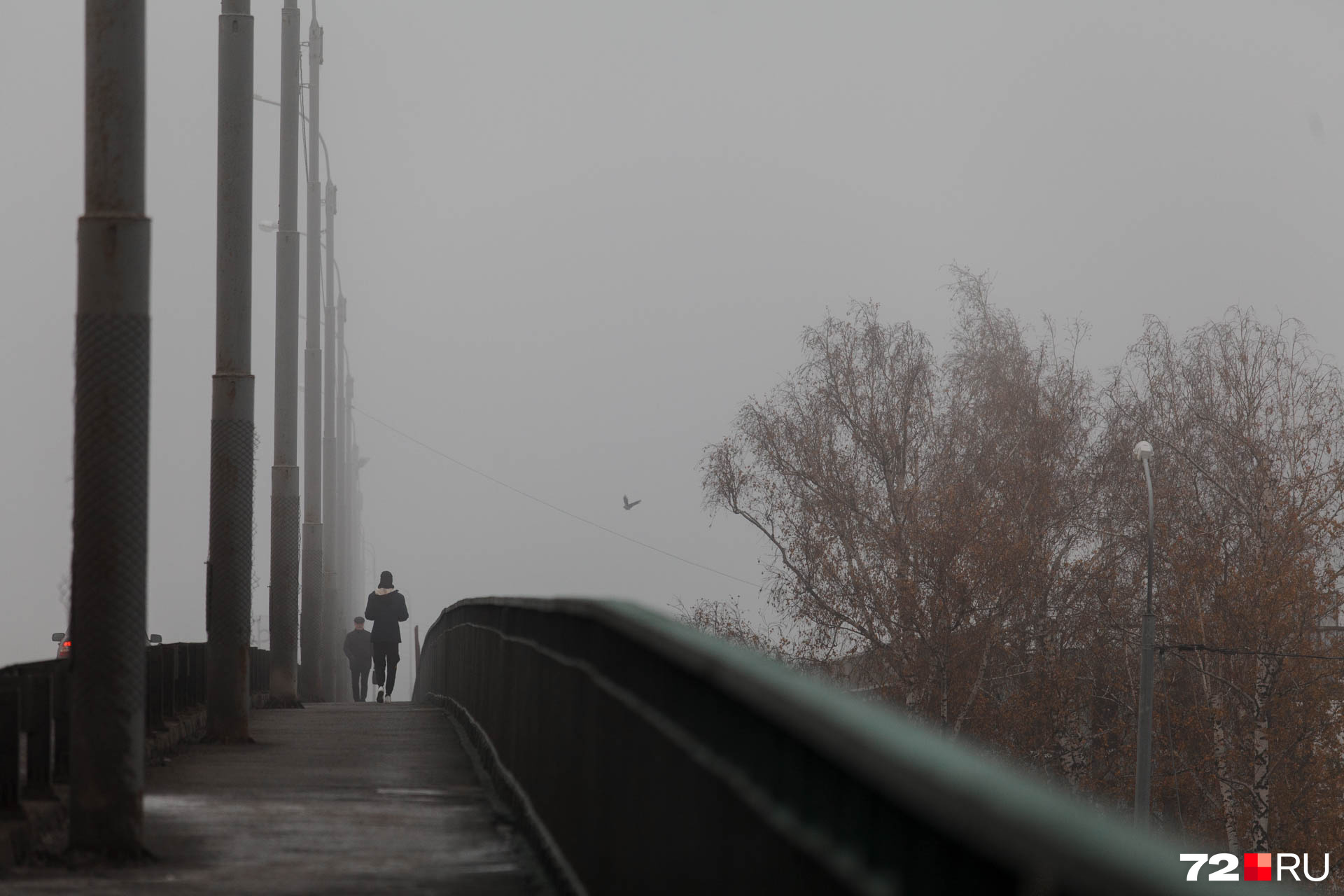 Пешеходная часть моста. Здесь тоже плохая видимость. Самокатчиков уже нет, поэтому можно не переживать, что внезапно выскочит человек на этом транспорте Пешеходная часть моста. Здесь тоже плохая видимость. Самокатчиков уже нет, поэтому можно не переживать, что внезапно выскочит человек на этом транспорте