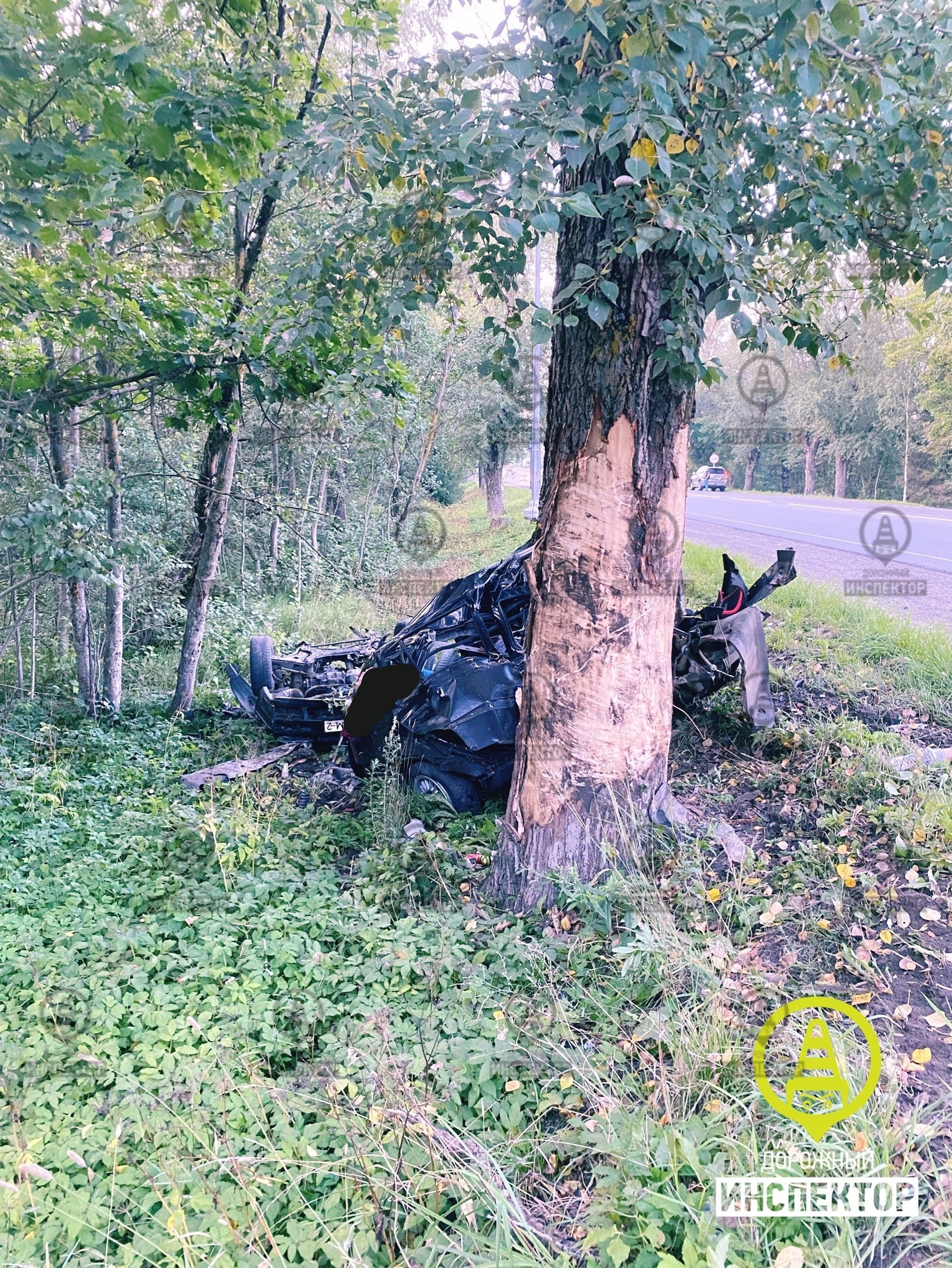 Под Гатчиной Volkswagen разорвало от удара об дерево. Погибли водитель и два пассажиры