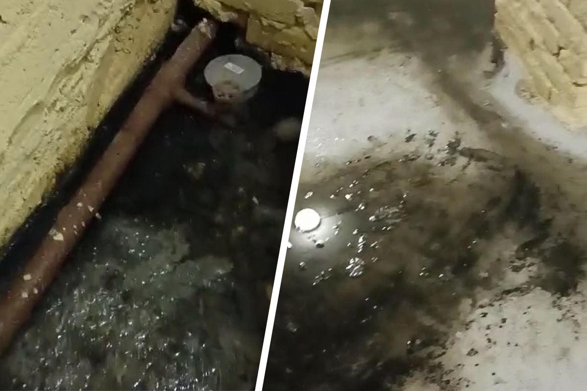 «Внутри мошки летают»: канализация затопила бомбоубежище под жилым домом в Новосибирске — видео