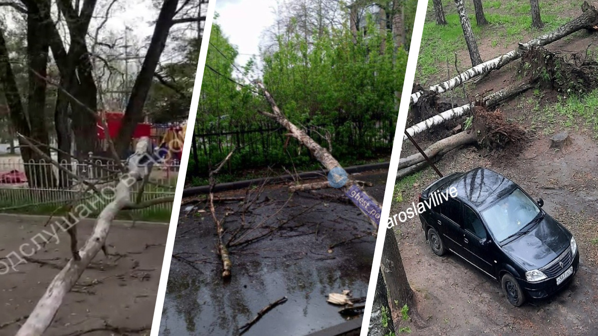 «Шла наощупь»: в Ярославле сильный ветер валит деревья и срывает крыши. Видео