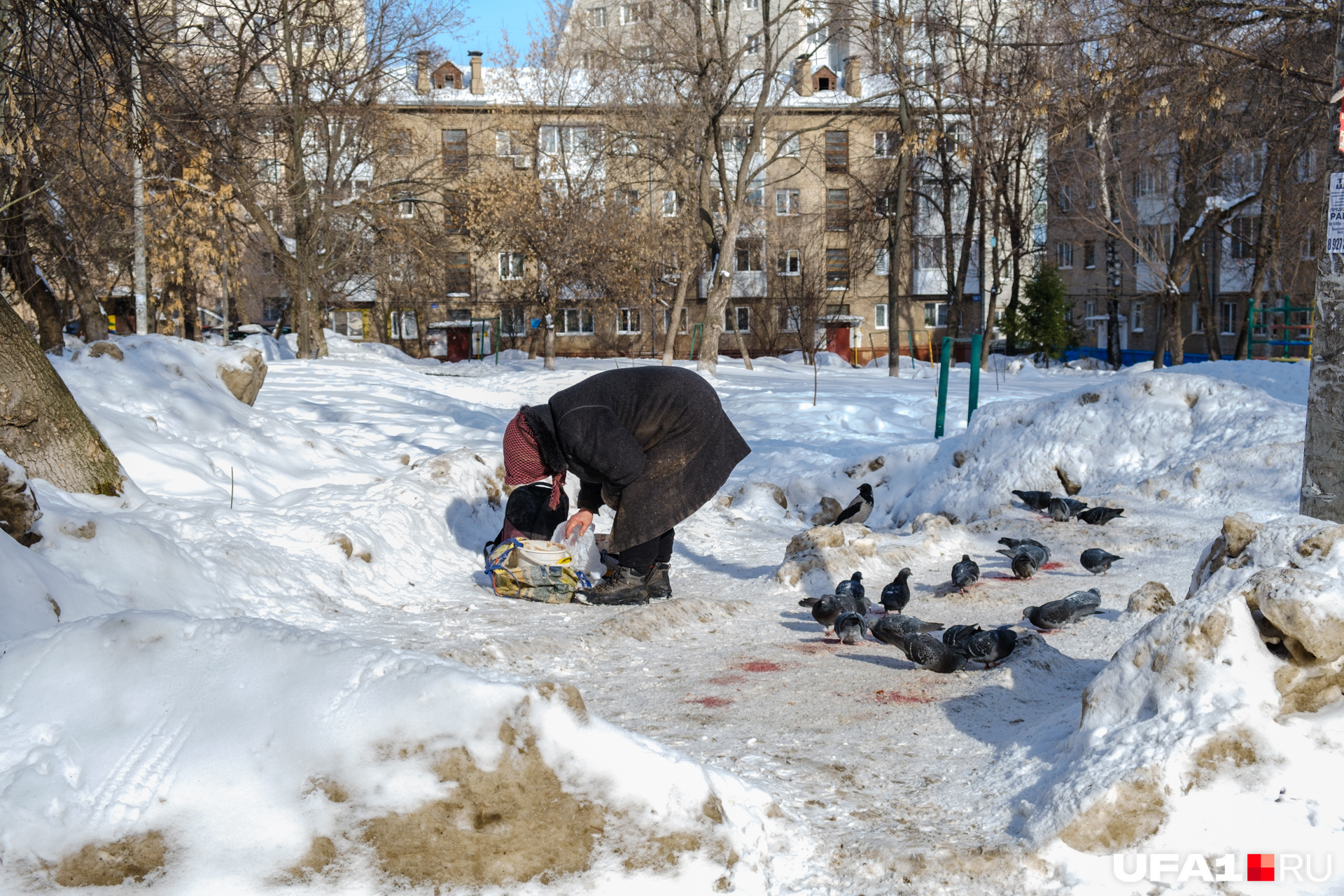 Бабушка кормит голубей. Ну и кто скажет, что уфимцы злые?