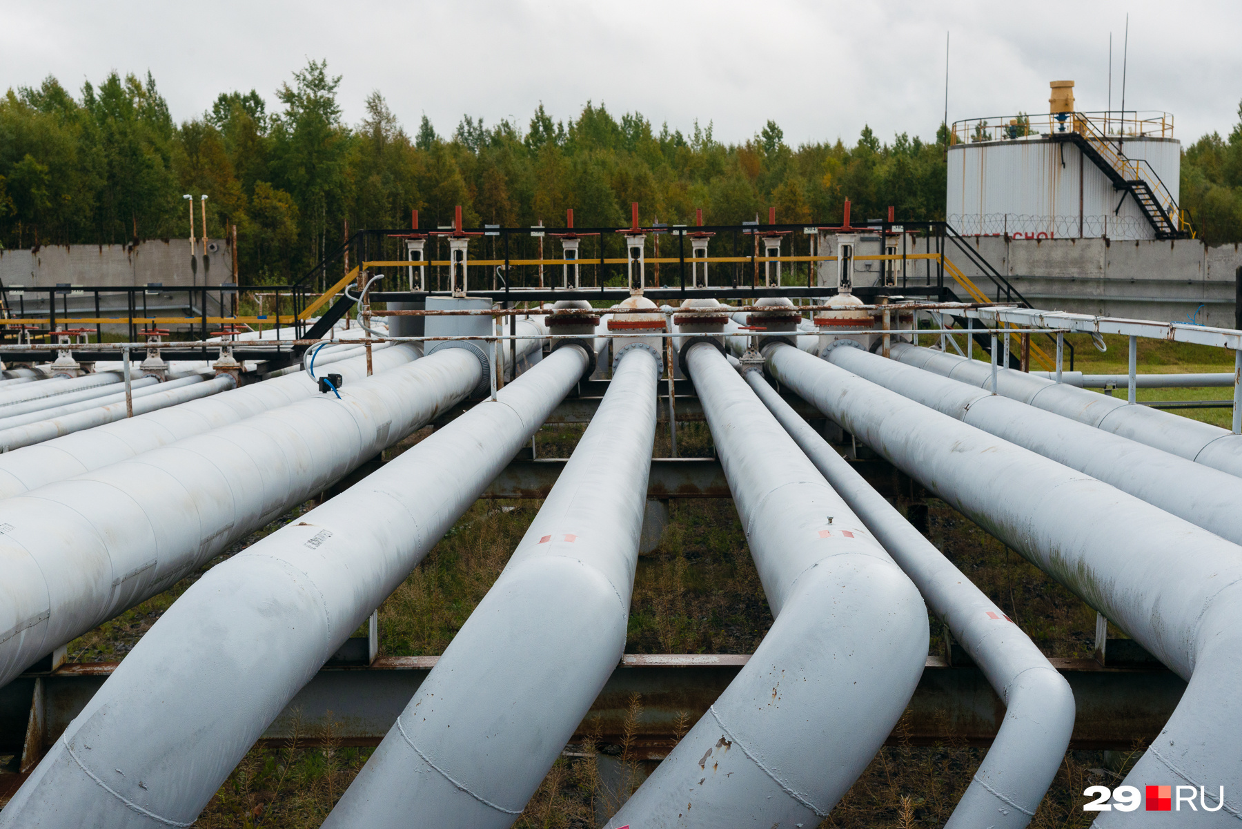 На севере Красноярского края продают нефтегазовое месторождение за 866 миллионов рублей