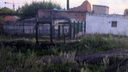 Мэрия Новосибирска проиграла суд застройщику по строительству домов на участках у Заельцовского бора