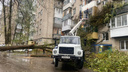 Дерево рухнуло на дом и придавило машины в Ростове: последствия непогоды и другие происшествия
