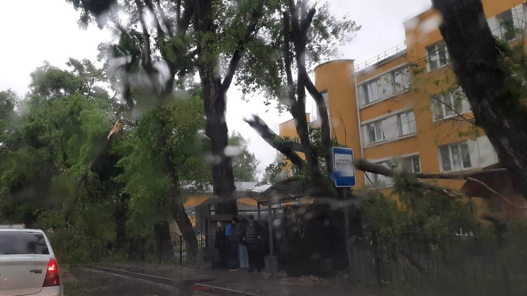 Деревья попадали на машины, некоторые дороги перекрыты, оборваны провода: в Воронеже прошла буря