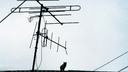 Теле- и радиосигнал прервется на неделю в Новосибирской области — расписание отключений