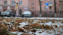 В Челябинскую область придут ночные заморозки