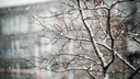 Снег и сильный ветер — синоптики дали прогноз по Приморью на 30 ноября