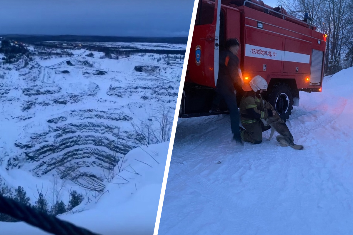 «Все делали вид, что не слышат жалобный вой». На Урале пожарные спасли собаку, провалившуюся на дно карьера
