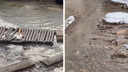 «Ароматный родник»: возле Воронежских озер прорвало канализацию