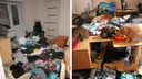 «Запах стоит ужасный»: сибирячка превратила квартиру в свалку и завела <nobr class="_">20 кошек</nobr> — соседи пригрозили их отравить