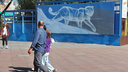 Огромный леопард появится в центре Владивостока