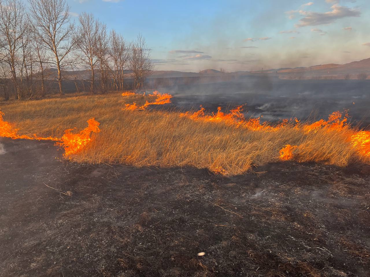 На полях извилистые дороги огня — появились фото и видео с пожара в Акшинском районе Забайкалья