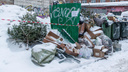 У жителей Архангельска будут собирать новогодние елки для животных из приюта