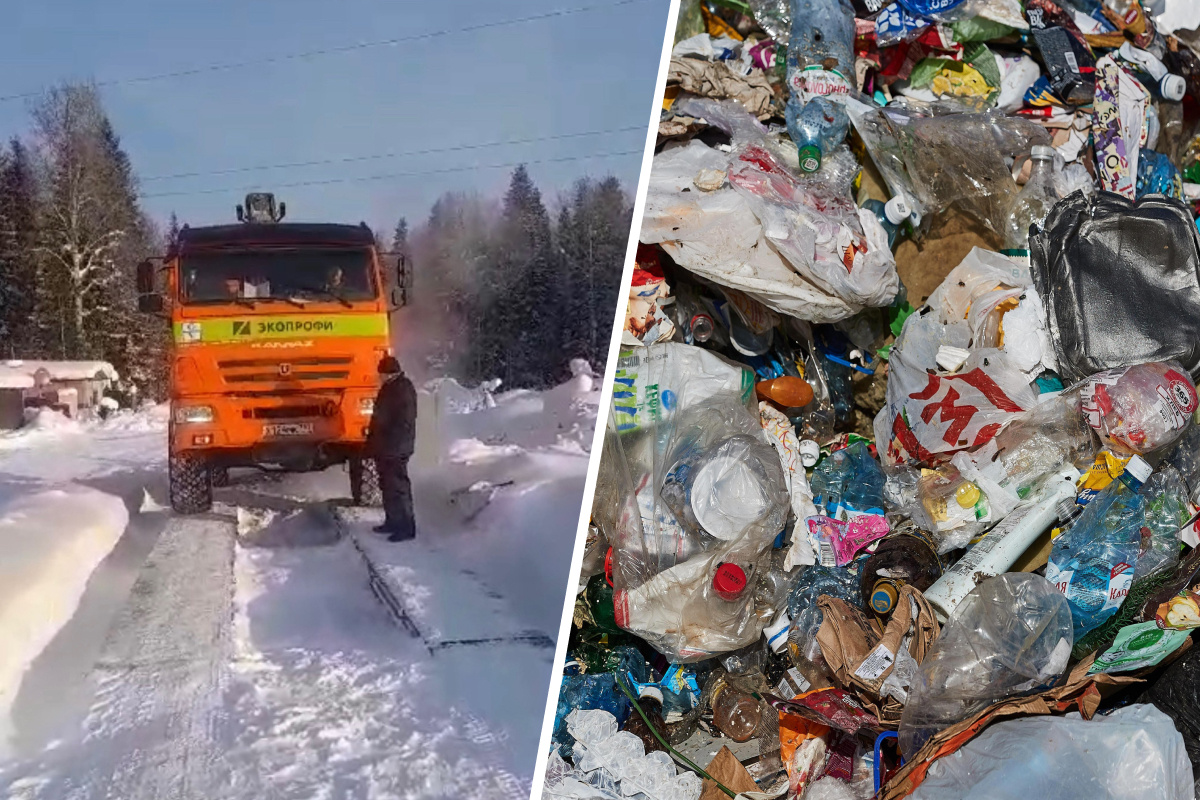 Экспорт архангельск