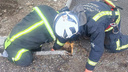 Пожарные спасли котенка из водосточной трубы детсада в Приморье