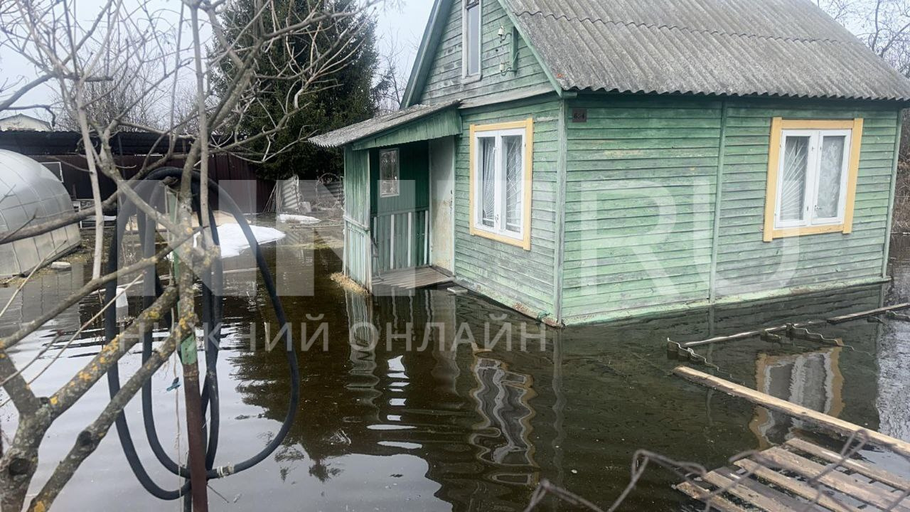 «Сады полностью под водой». Жители СНТ на Автозаводе борются с потопом на своих участках