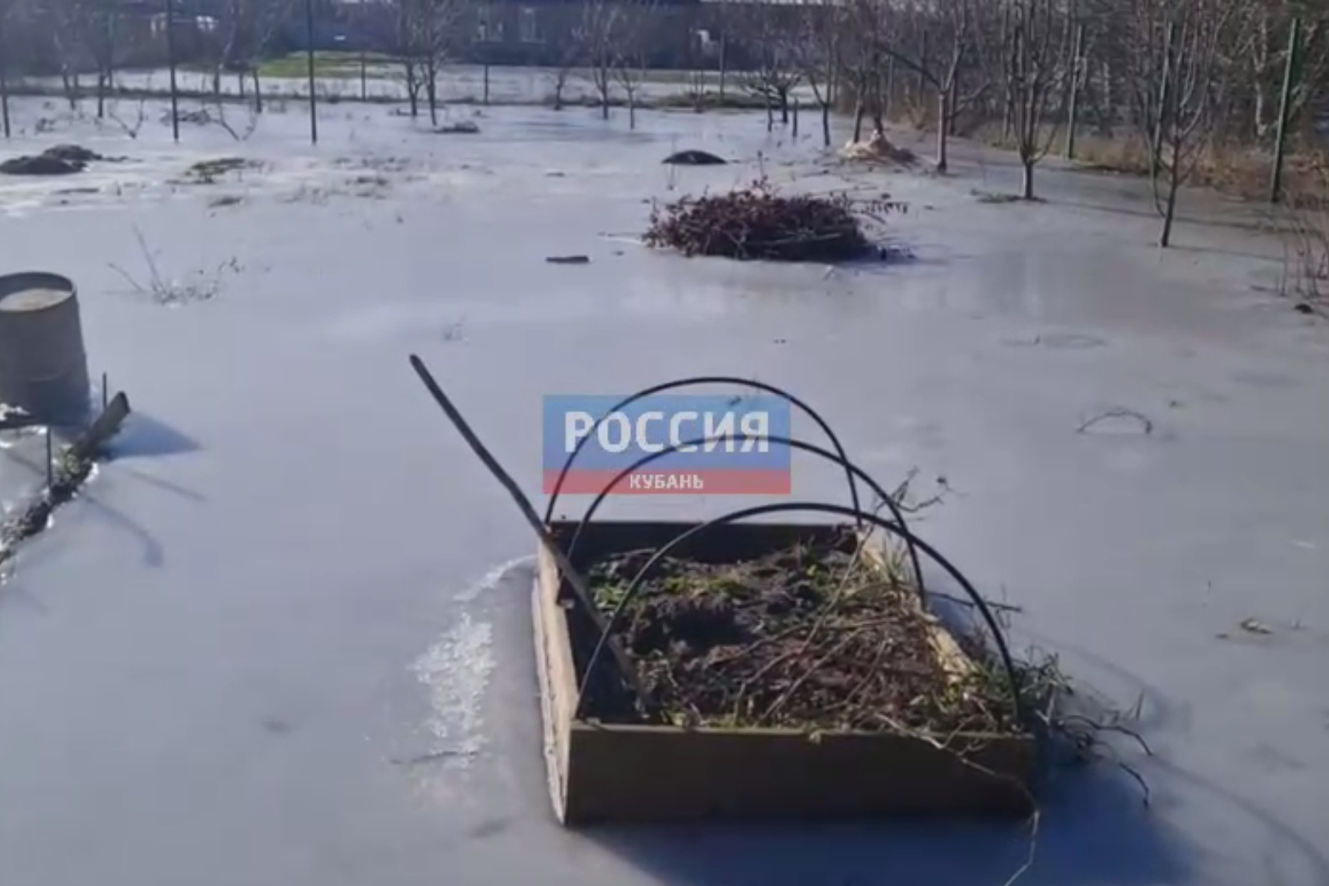 Сердце завыло руки дрожат. Сердце завыло руки дрожат