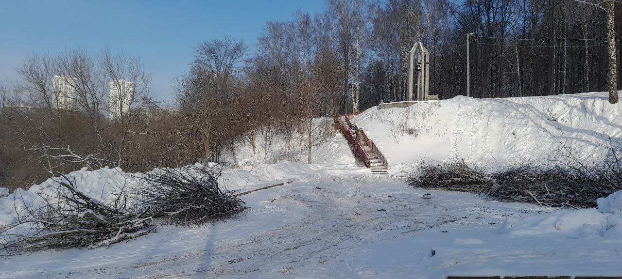 Активисты «ОГры» говорят, что никаких деревьев на месте, где хотели провести акцию, нет, а ветки сюда привезли Активисты «ОГры» говорят, что никаких деревьев на месте, где хотели провести акцию, нет, а ветки сюда привезли