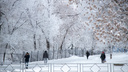 Погода готовит новое испытание. В Самарской области ожидают 20-градусные морозы