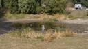 Осталось болотце: в самарском сквере «Дубовый Колок» пересохло озеро