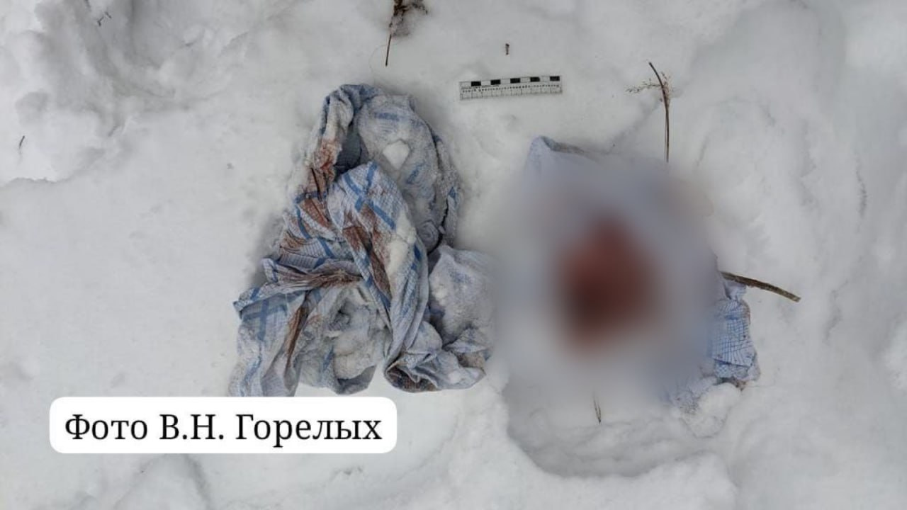 «Ребенок не верещал». Появилось видео допроса матери, которая закопала своего новорожденного сына в сугробе на Урале