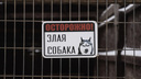 Агрессивный пес напал на мальчика в Новосибирской области: хозяйка заплатит семье ребенка <nobr class="_">30 тысяч</nobr>