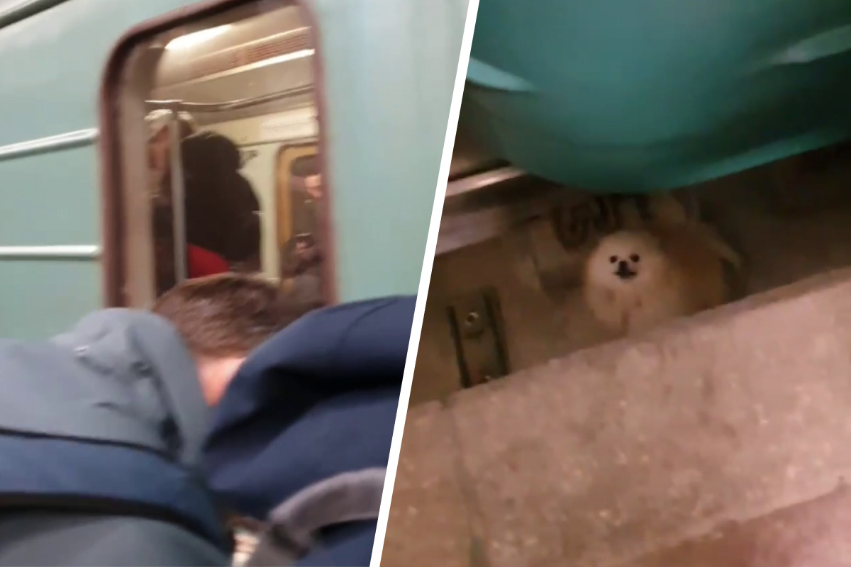 Подростки на железной дороге. На рельсах стоит платформа. С платформы масса которой m=2*10 производится выстрел из пушки. Пешеходный настил через железнодорожные пути. Платформа с песком массой.