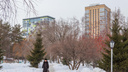 «Если всё пойдет хорошо»: стало известно, когда в Новосибирске реконструируют Нарымский сквер