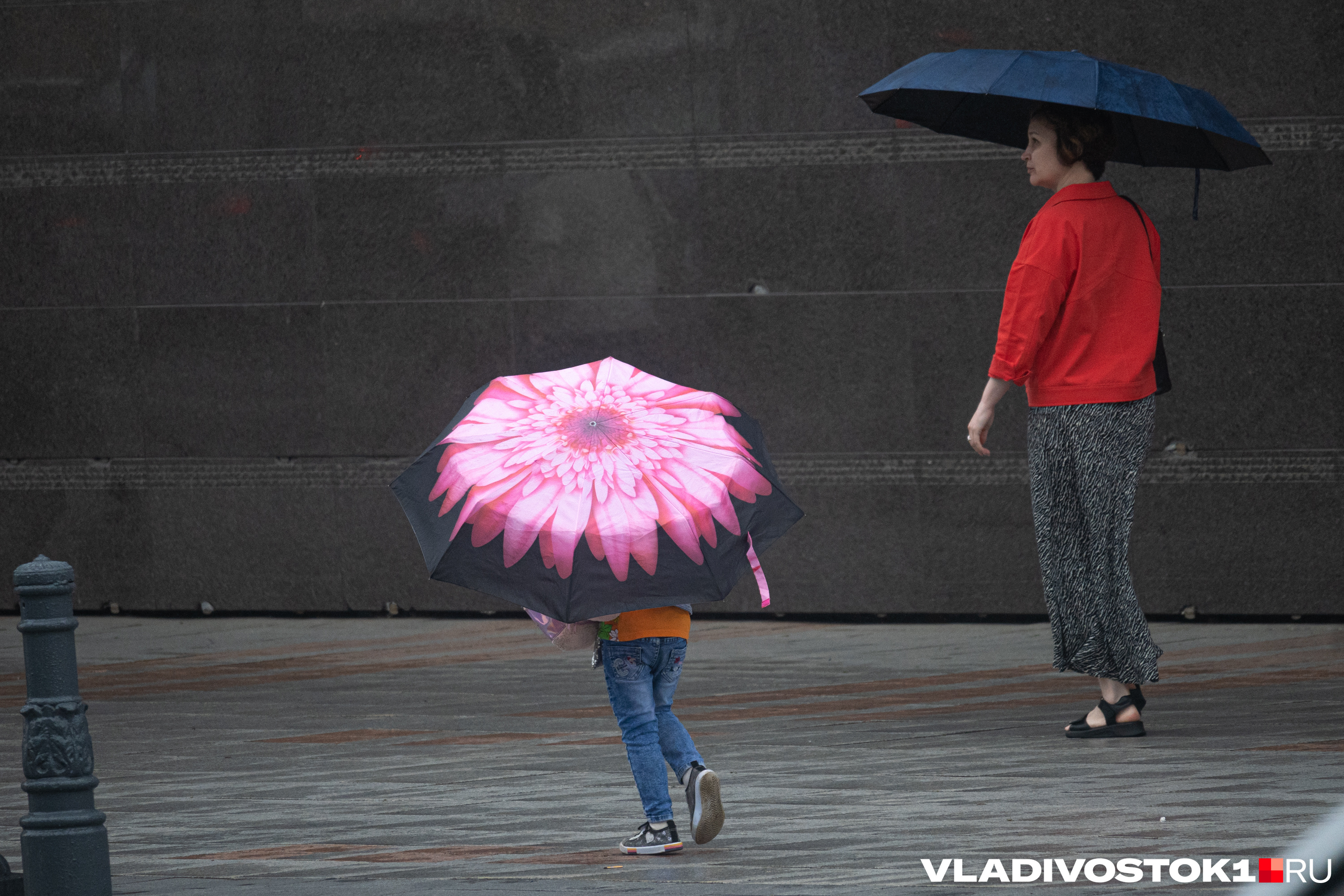 Опять жара или только дожди? Каким будет август в Барнауле — изучаем погодные сервисы