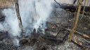 В Самарской области горел лес. В регионе ввели противопожарный режим