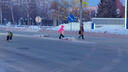 «То аварии, то знаки сносят»: новосибирцы ополчились на островки безопасности в Заельцовском районе — что им не нравится