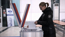 Предварительные итоги выборов: Путин выигрывает в Ростовской области