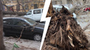 Вырвало с корнем: на Арцыбушевской дерево рухнуло на машину с людьми