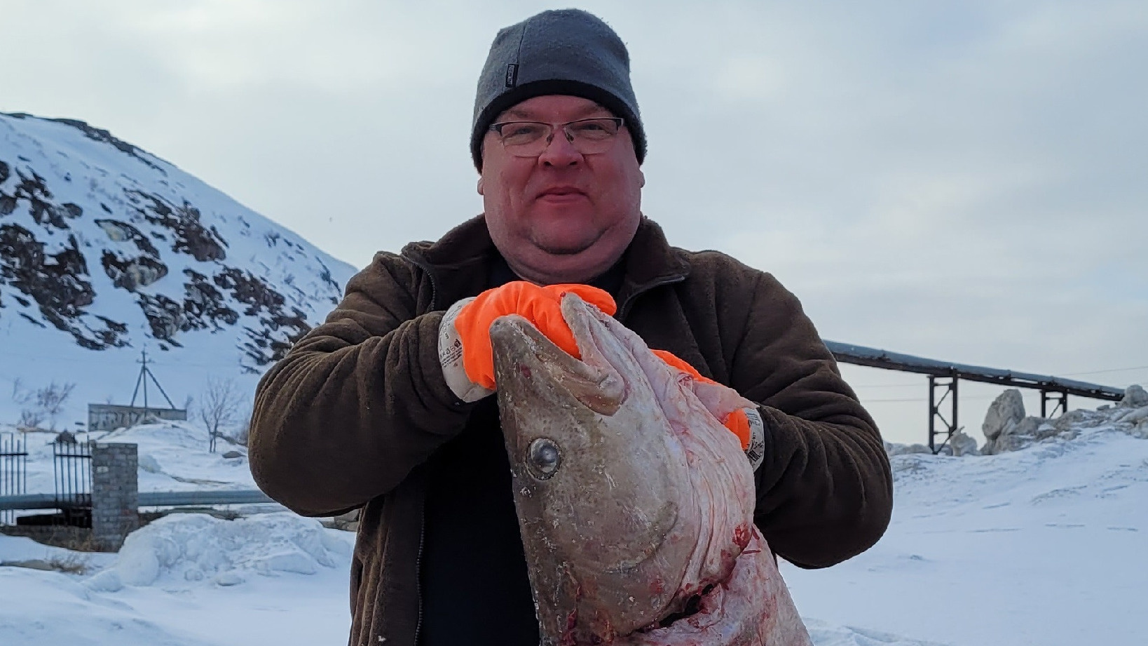 «Поймал и полгода ешь, как поросенка»: рыбак показал фото с огромной треской на Териберке