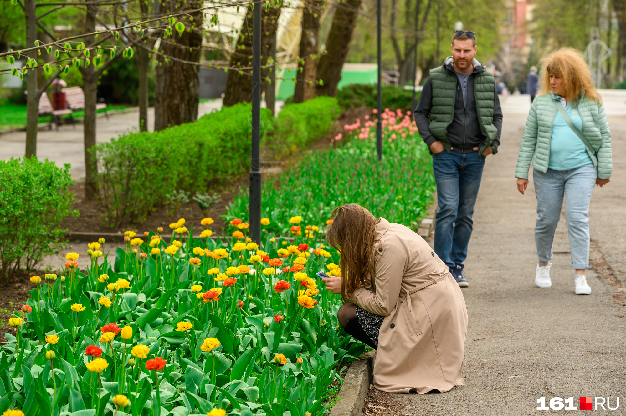 В Парке революции высадили тысячи тюльпанов, но погода не всегда позволяла полюбоваться этой красотой