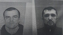 СМИ: В Ростовской области ищут двух вооруженных грабителей из ЛНР
