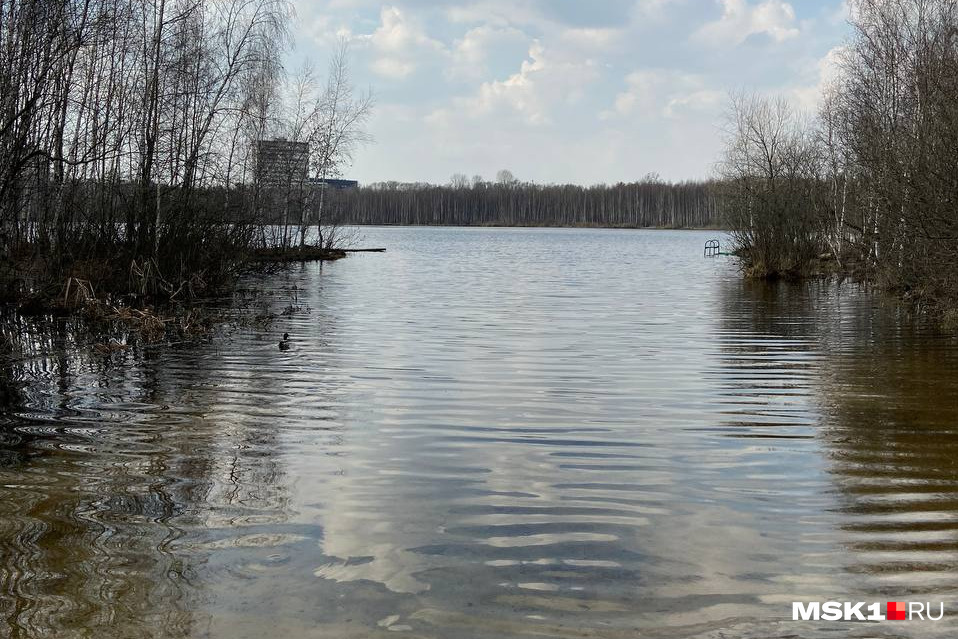 У святого озера московская ул 41