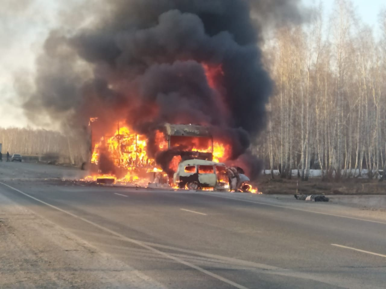Погиб водитель иномарки, которая сгорела вместе с фурой на трассе в Омской области