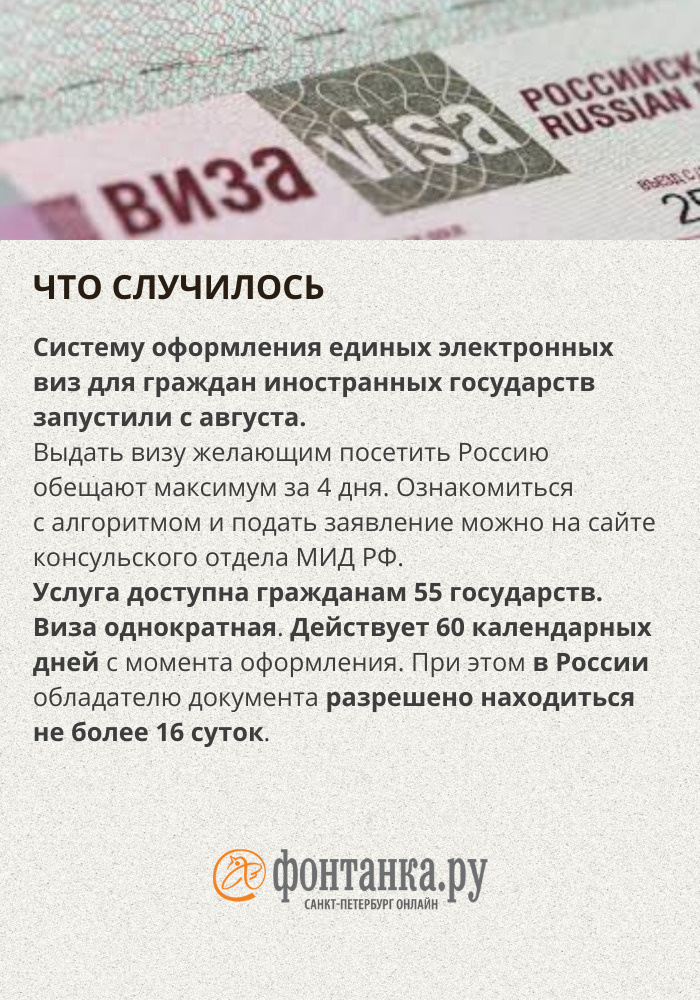 Электронная виза в Россию, большие ли очереди, как работает система на ...
