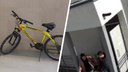 «Решили увезти на такси»: в Академическом у девушки украли велосипед, который ее кормит