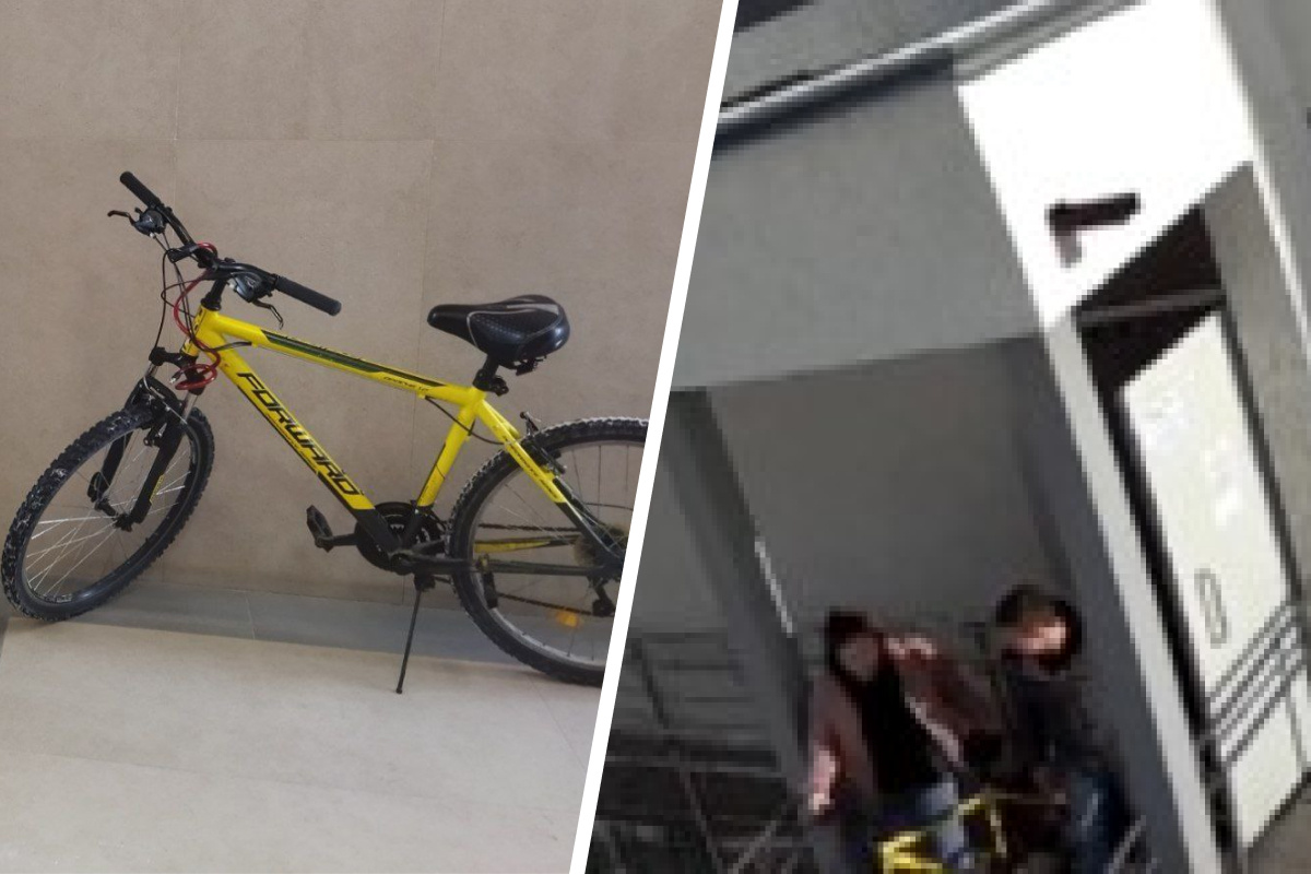 «Решили увезти на такси»: в Академическом у девушки украли велосипед, который ее кормит