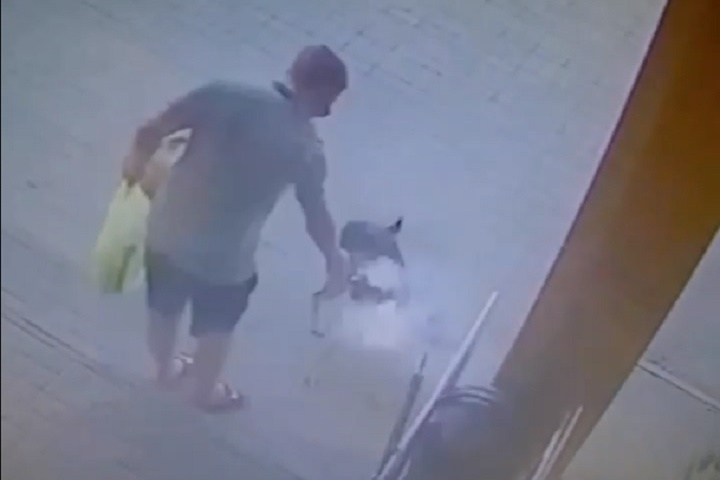 В Волгограде мужчина подозвал собаку на выходе из магазина и расстрелял ее из пистолета — видео