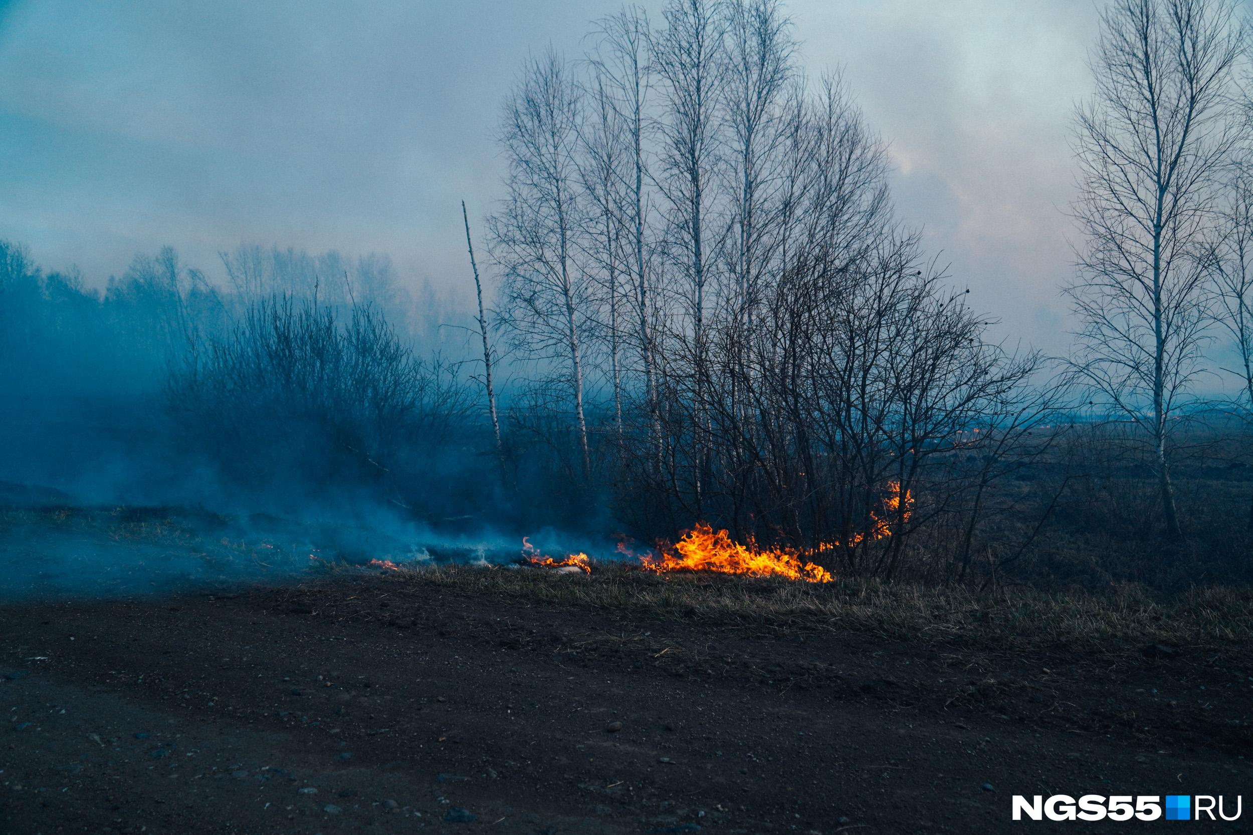 СКР начал опрашивать волонтеров, жаловавшихся на пожары в Забайкалье