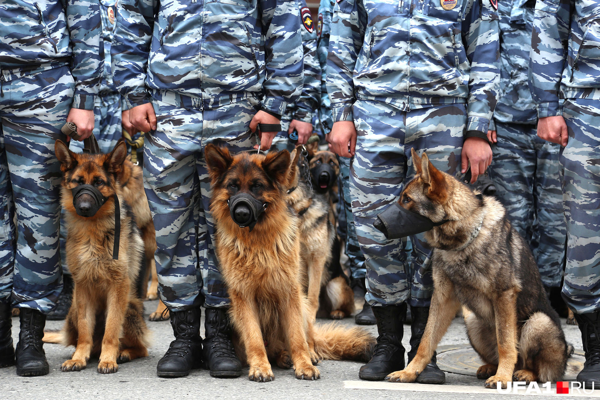 Попал в дтп обидно